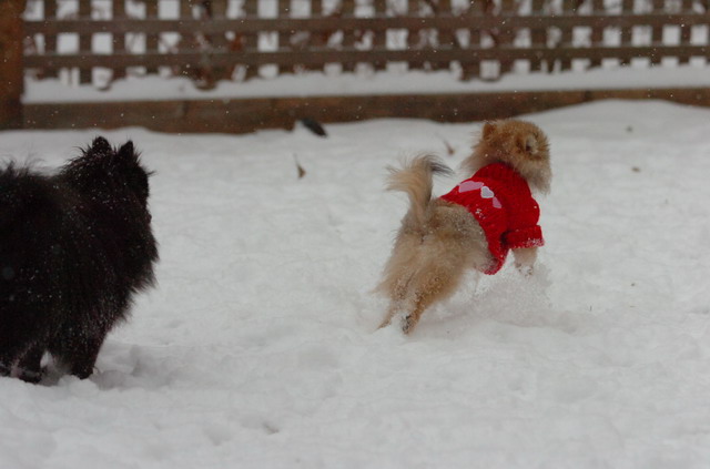 Dec31_05_325.JPG