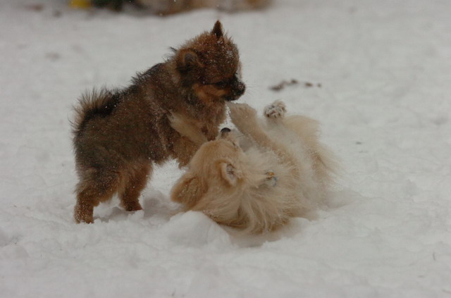 Dec31_05_357.JPG