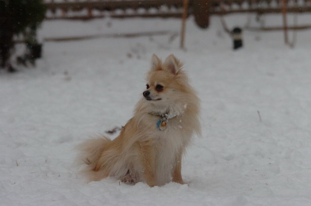 Dec31_05_385.JPG