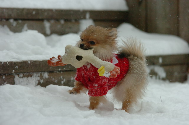 Dec31_05_386.JPG