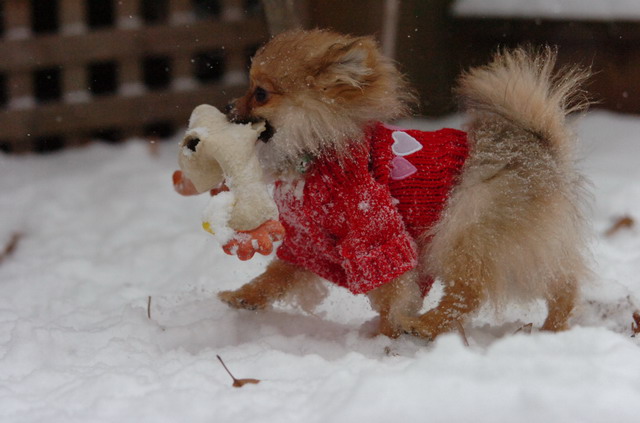Dec31_05_389.JPG
