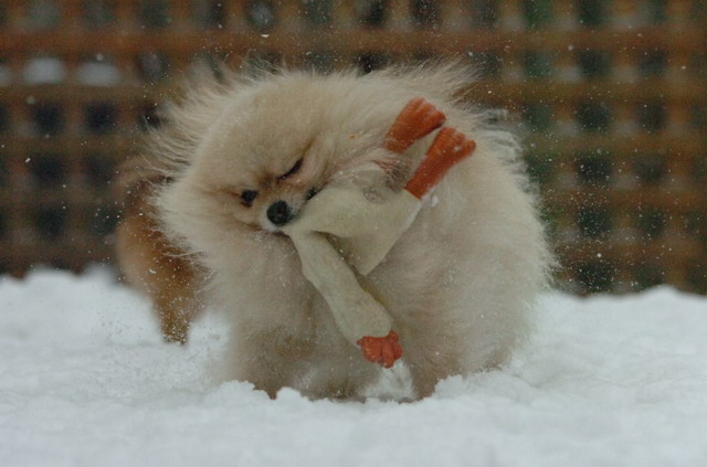 Dec31_05_207.JPG