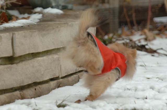 Jan8_06_1033.JPG