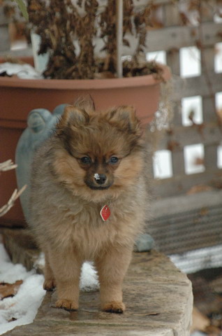 Jan8_06_1043.JPG