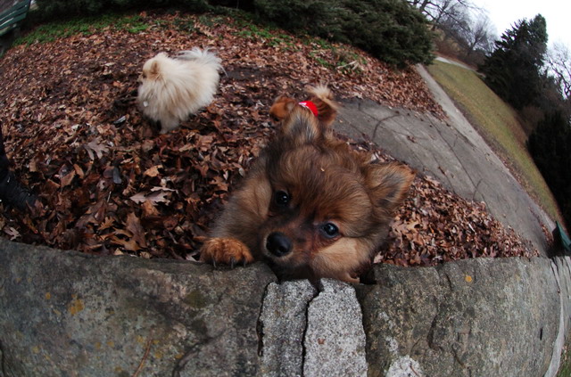 Jan12_06_110.JPG