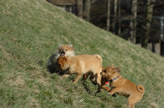 Apr8_06_351.JPG