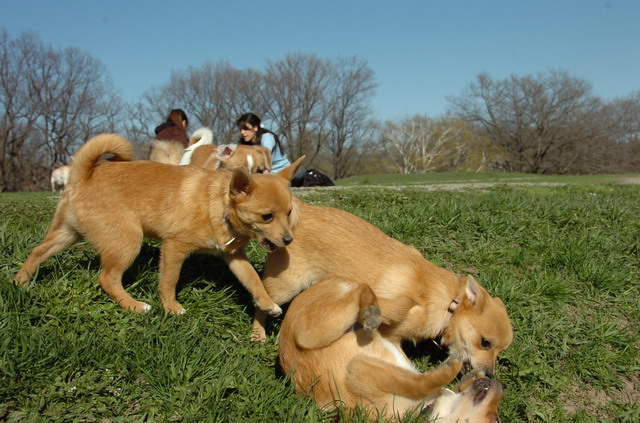 Apr27hs_06_508.JPG