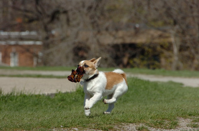 Apr27hs_06_071.JPG