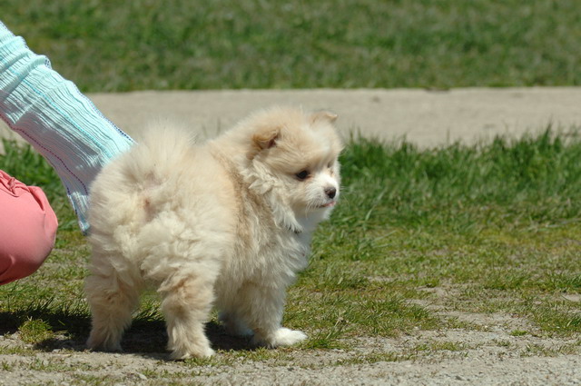Apr29_06_994.JPG