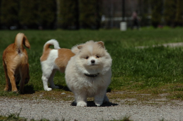 Apr29_06_015.JPG