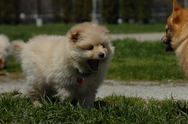 Apr29_06_020.JPG
