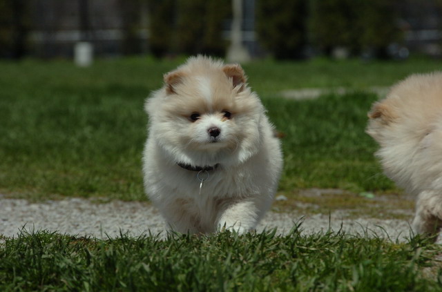 Apr29_06_024.JPG