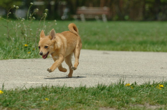 May7_06_959.JPG