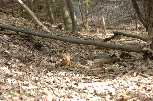 May7_06_476.JPG