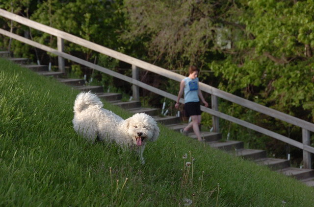 May27_06_264.JPG