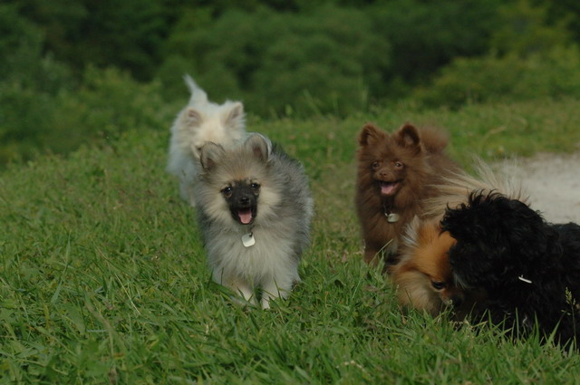 June14_06_295.JPG