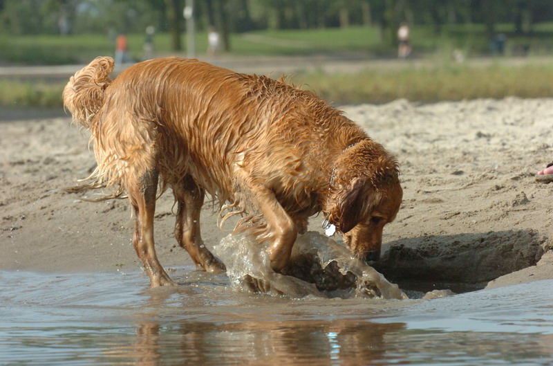 July30_06_126.JPG