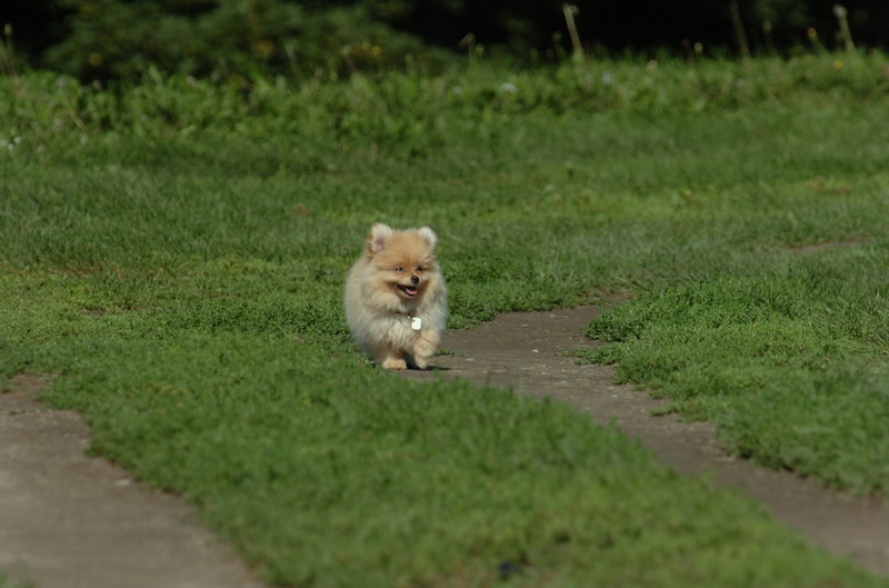 Aug4_06_204.JPG