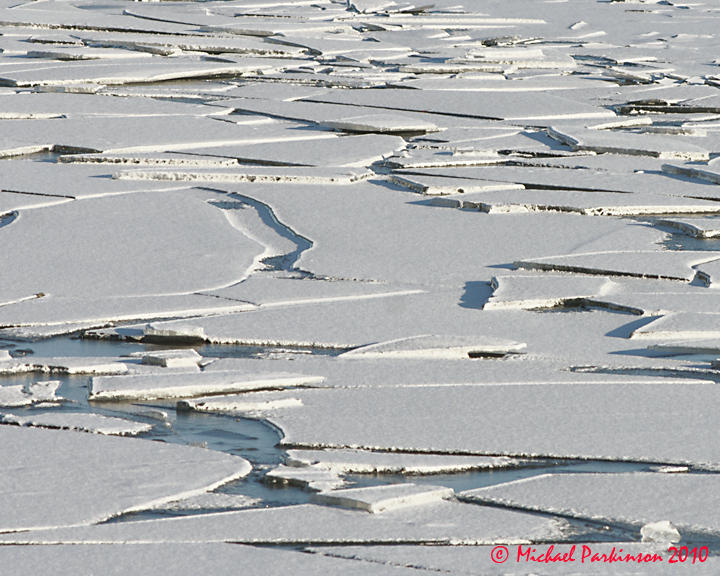 Ice Is Nice 03456 copy.jpg