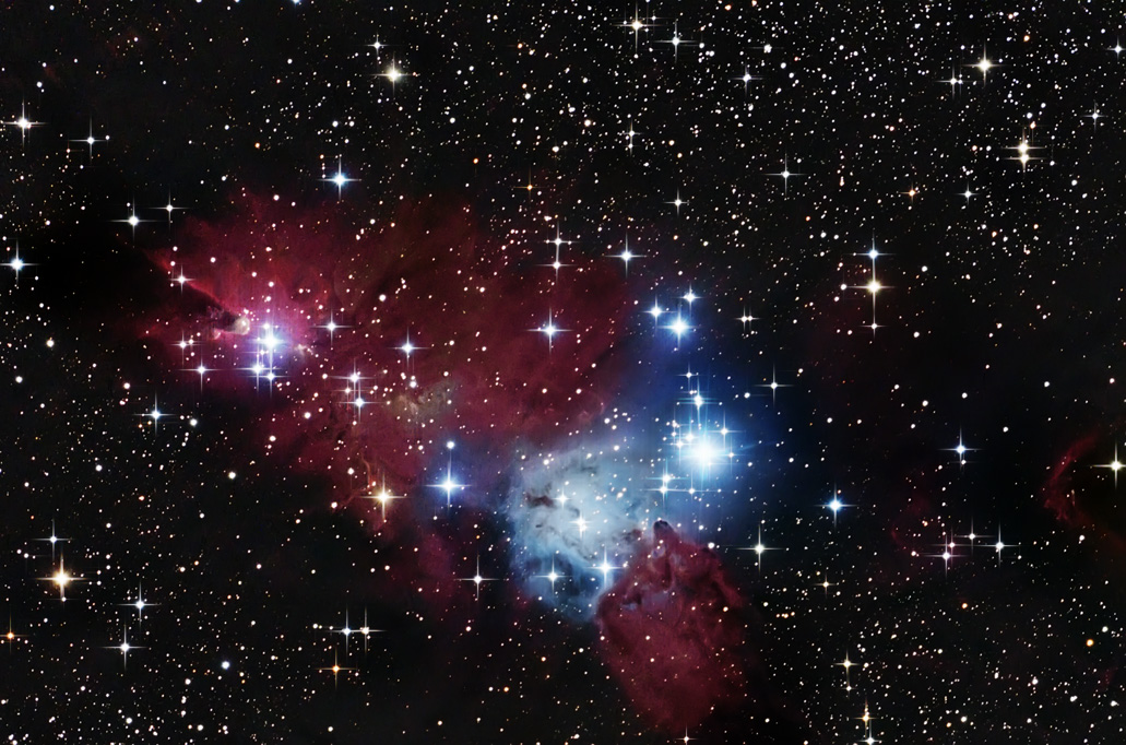NGC 2264