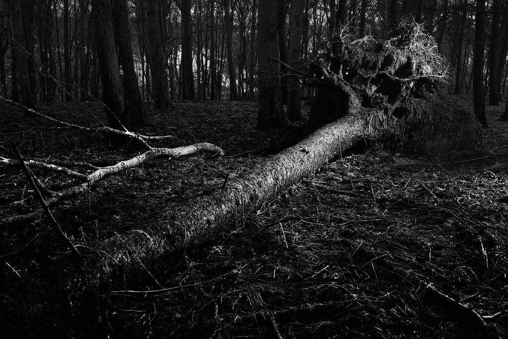 20100117 - Fallen 2