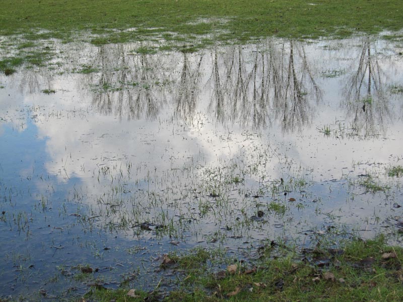 reflections in blue sky