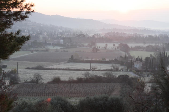 another frosty morning