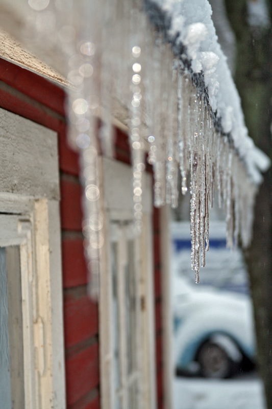 Snow show