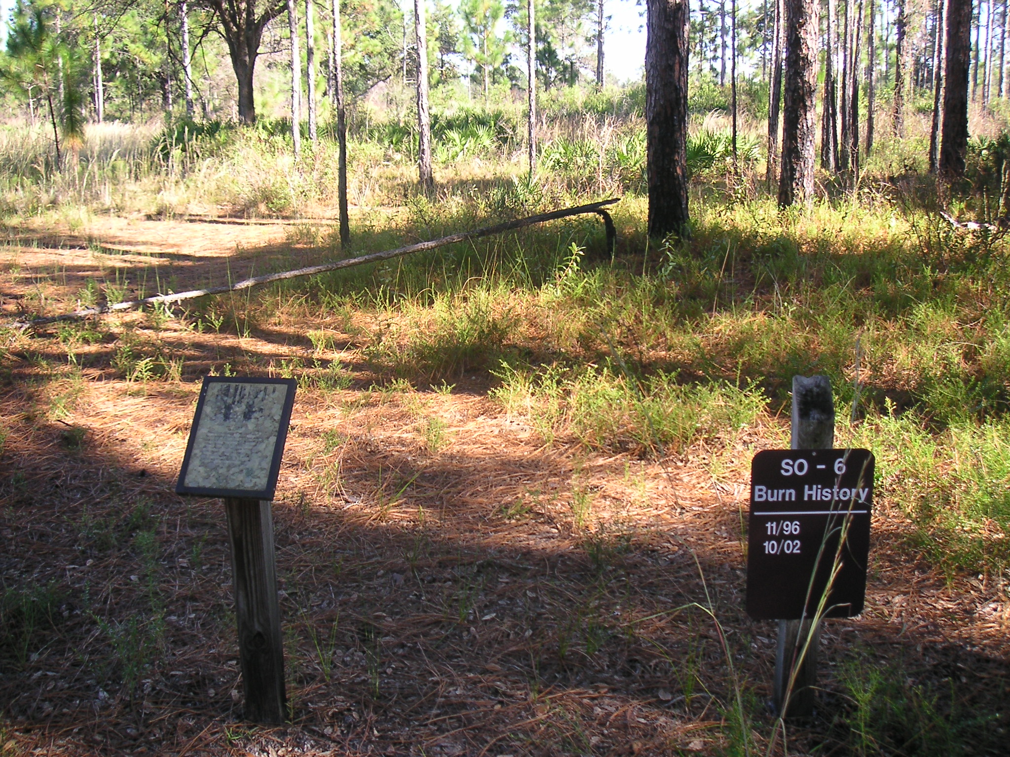 Burn Sign