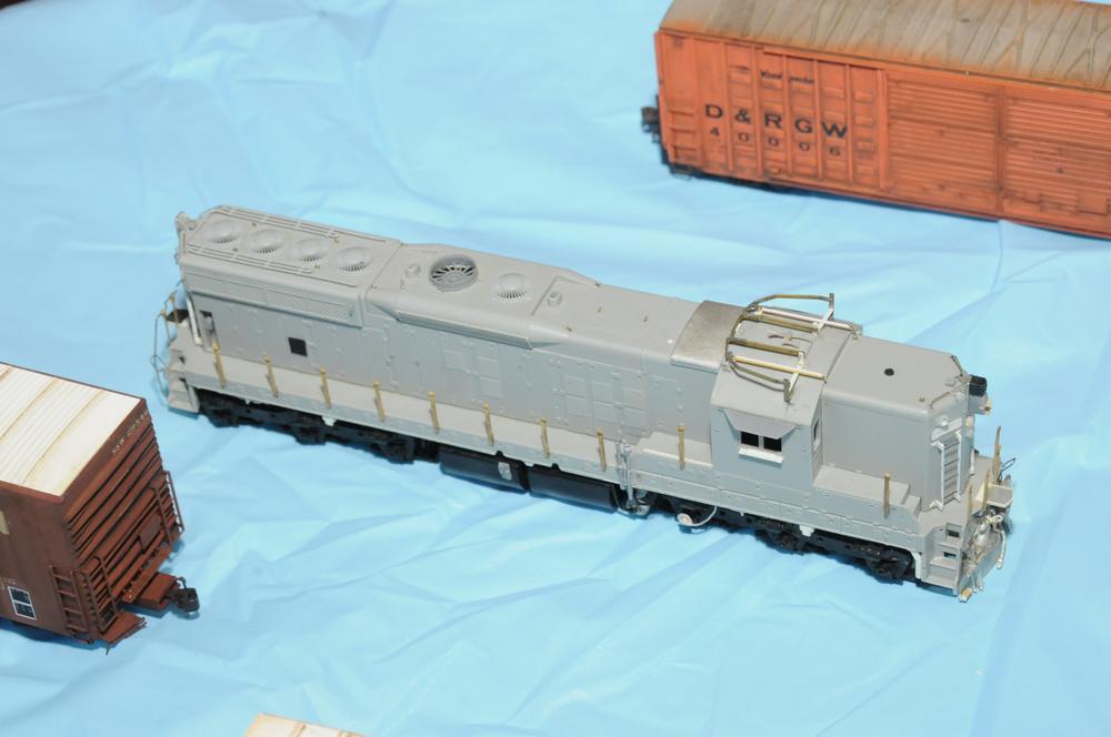 Elizabeth Allen Model