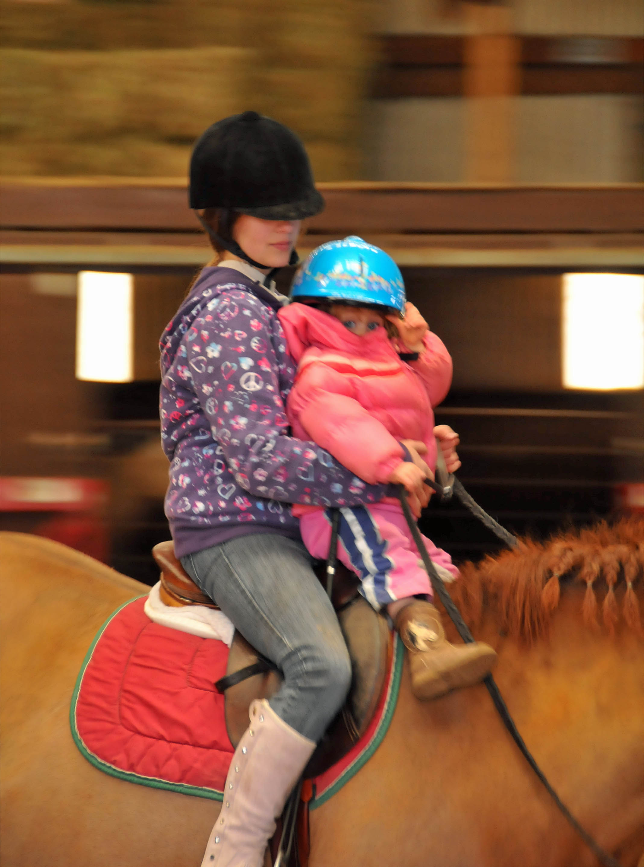 R2D2 on horse