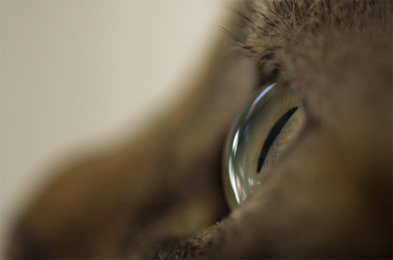 Transparency - 5