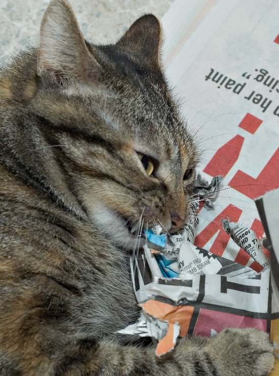 The dangerous newspaper gets whats coming to it