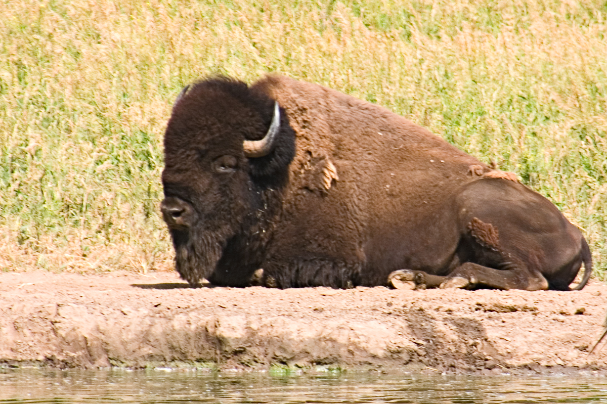 CRW_4310.jpg