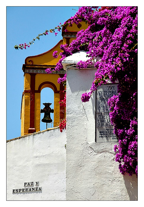 Paz y Esperanza