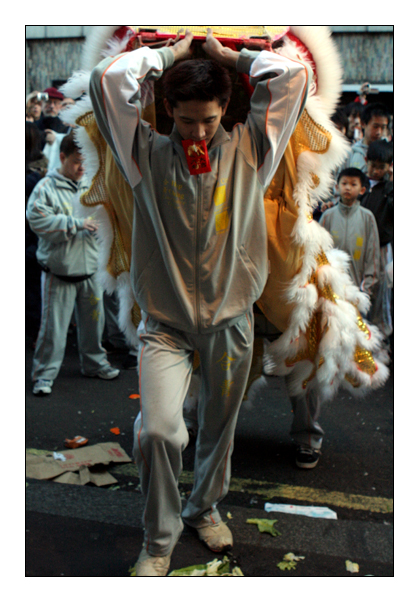 Lion Dancer