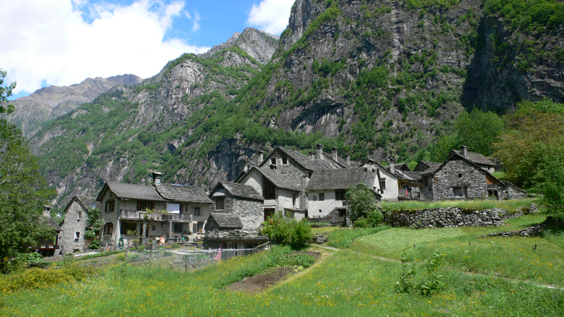 P1000315.jpg