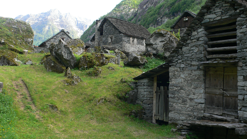 P1000373.jpg