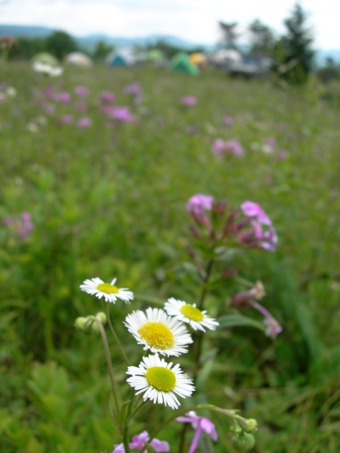 DSCN5352.JPG