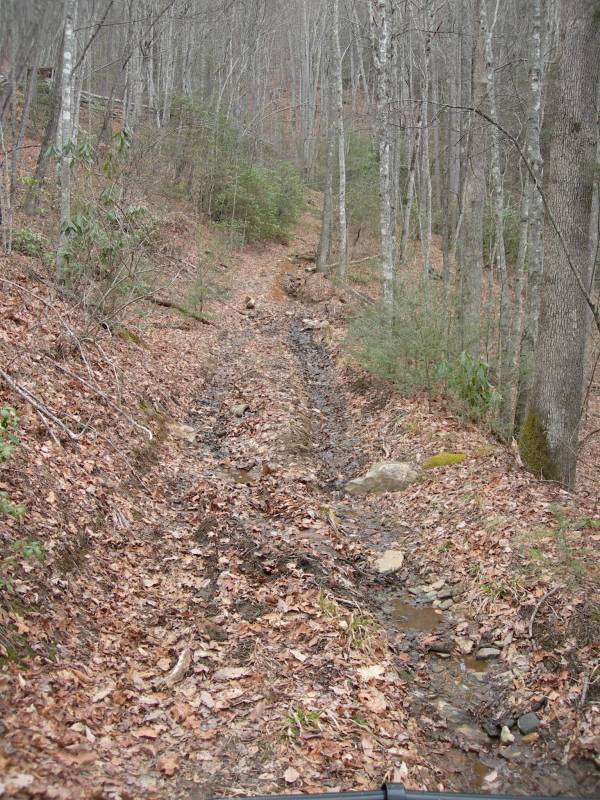 photos never do trails justice