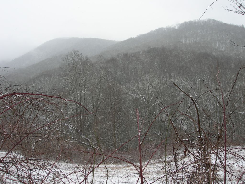 DSCN3849.JPG