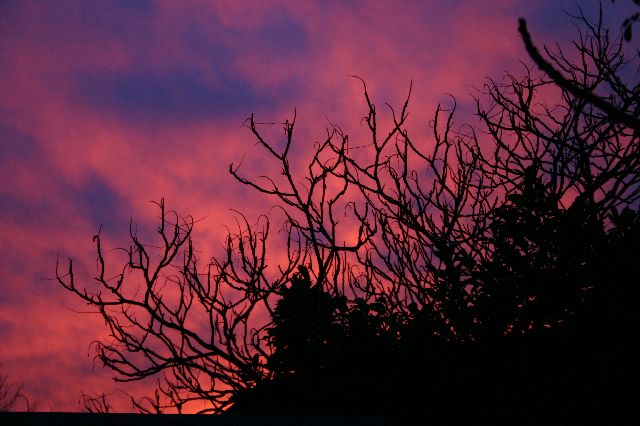Sunset in Hayes.jpg