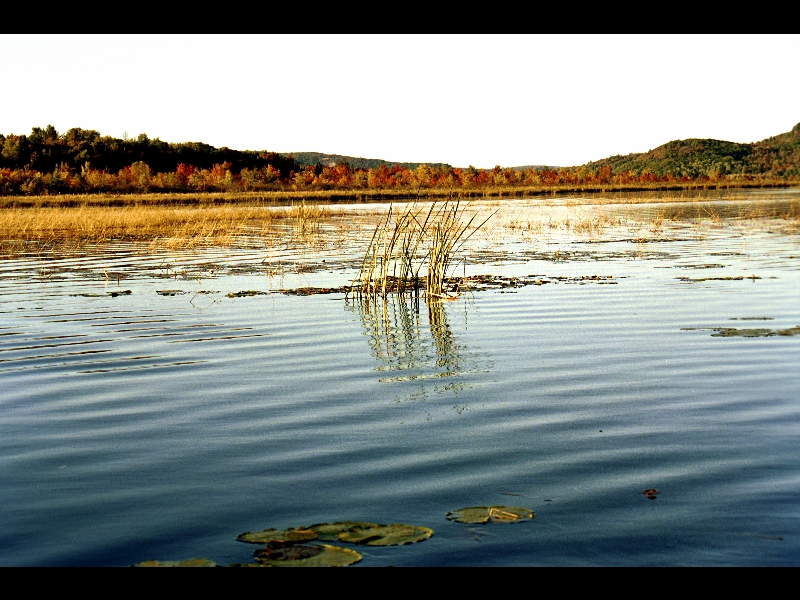 Conroy Marsh-Boulter ONT