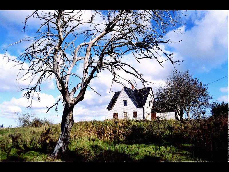 PEI-Empty House