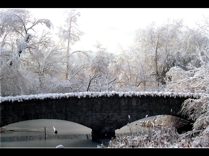 Snow Bridge-Toronto