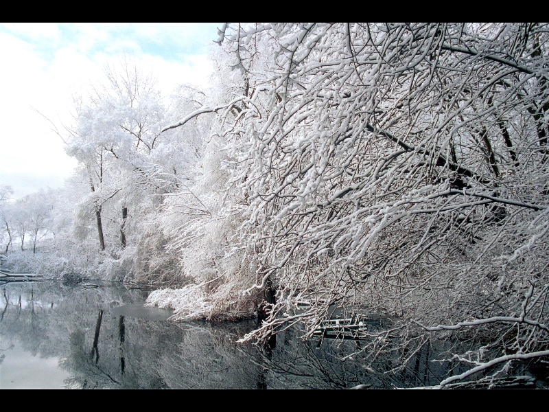 Snow Pond-Toronto