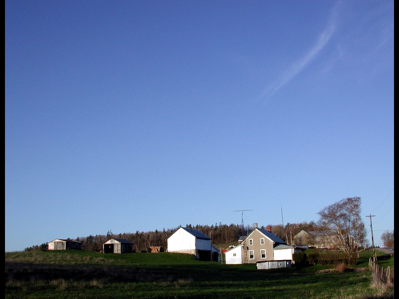 Peterson Farm-Campbellford