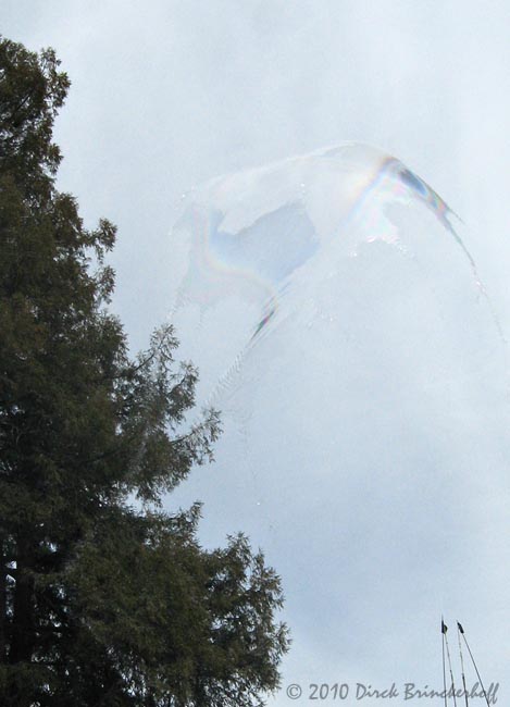 A Rip In the Sky