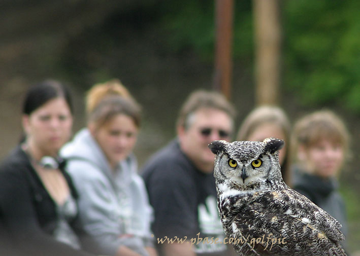 A captive audience