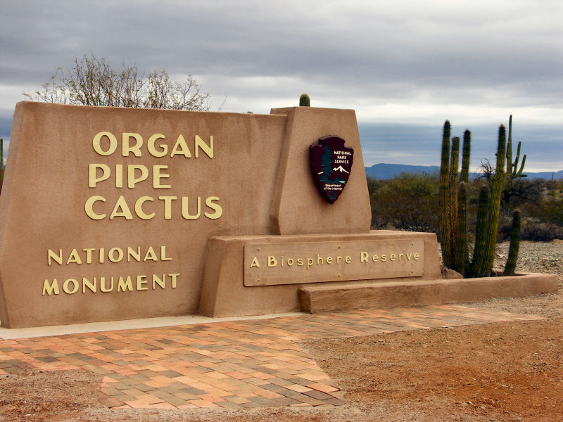 Organ Pipe Cactus Ntl Monument2  pw.jpg